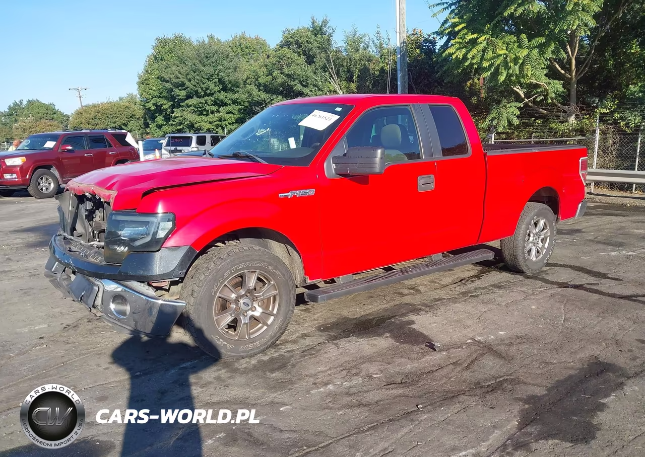 2009 Ford F-150 Stx-Xl VIN:1FTRX12WX9FB10204 - 2