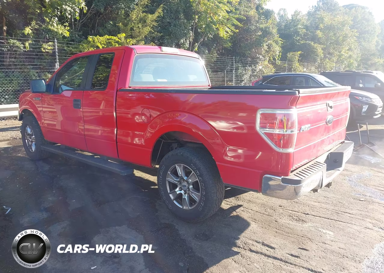 2009 Ford F-150 Stx-Xl VIN:1FTRX12WX9FB10204 - 3