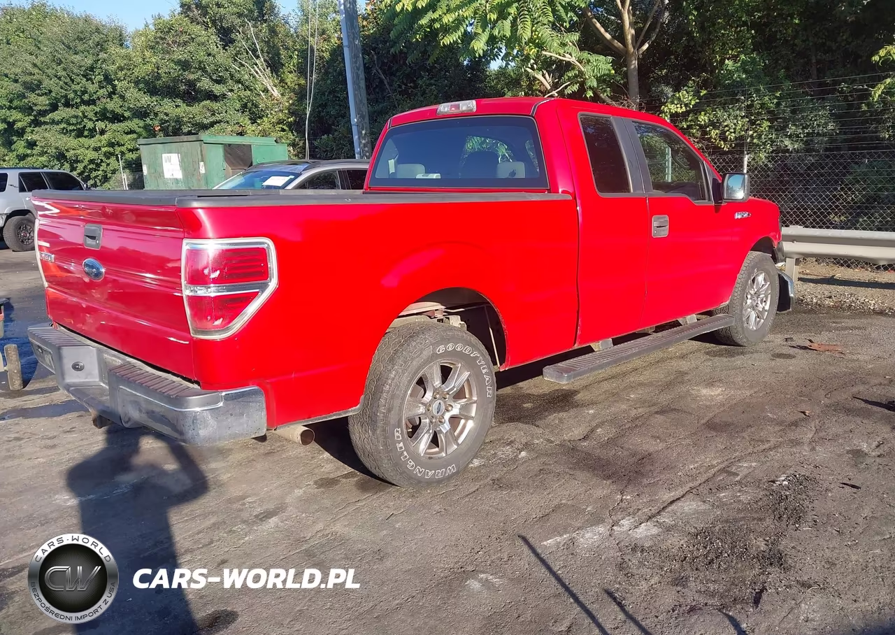 2009 Ford F-150 Stx-Xl VIN:1FTRX12WX9FB10204 - 4