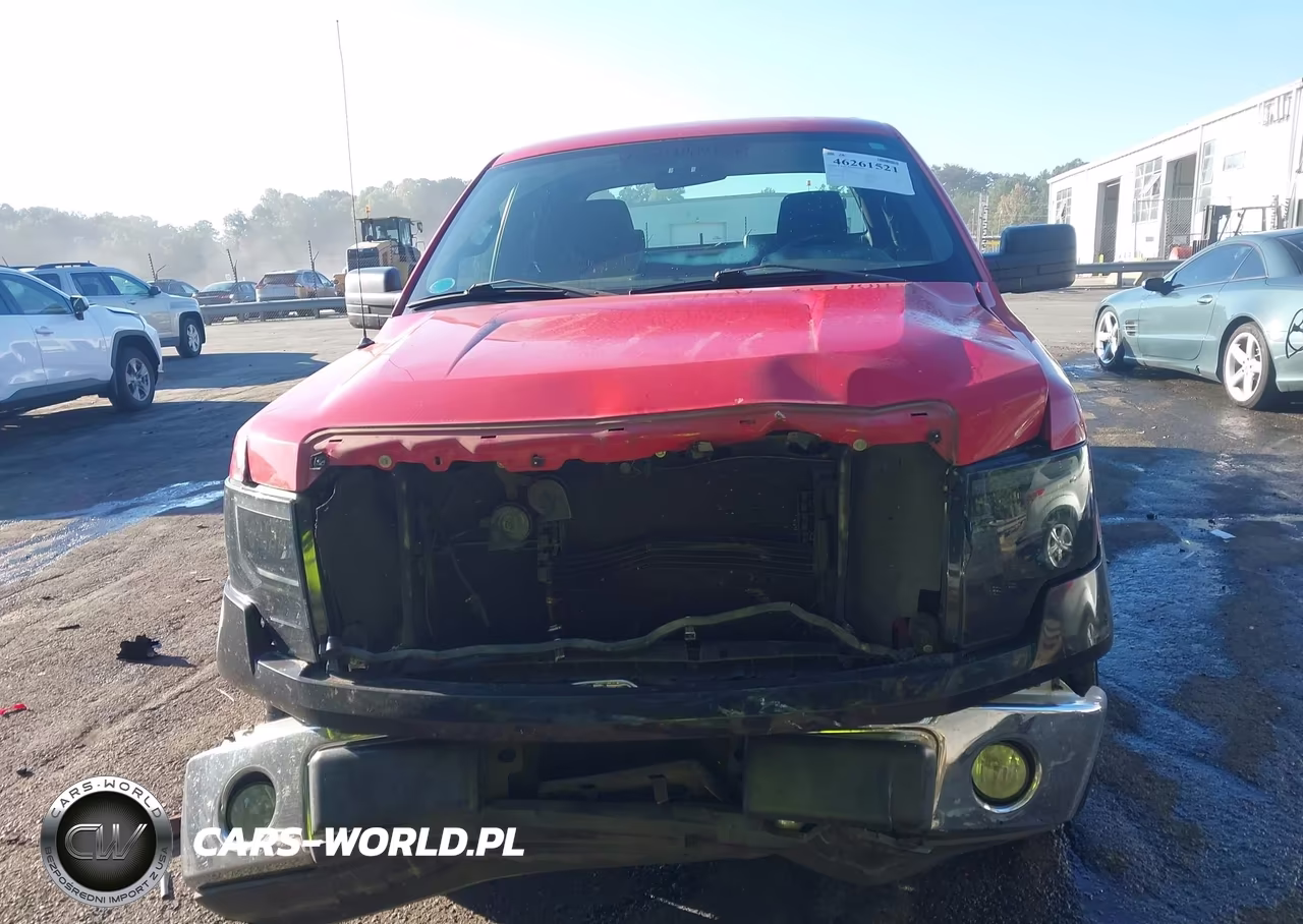 2009 Ford F-150 Stx-Xl VIN:1FTRX12WX9FB10204 - 6