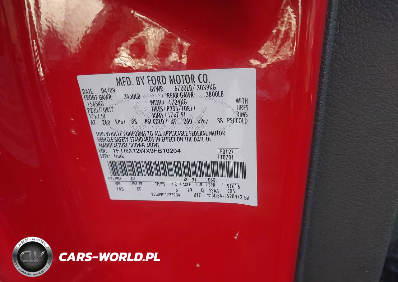 2009 Ford F-150 Stx-Xl VIN:1FTRX12WX9FB10204 - 9