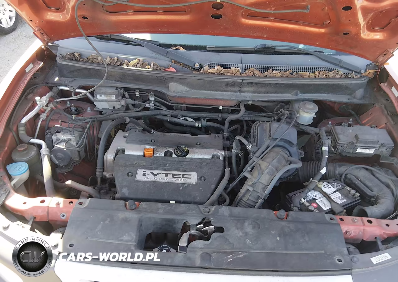 2005 Honda Element Ex VIN:5J6YH18665L011725 - 10