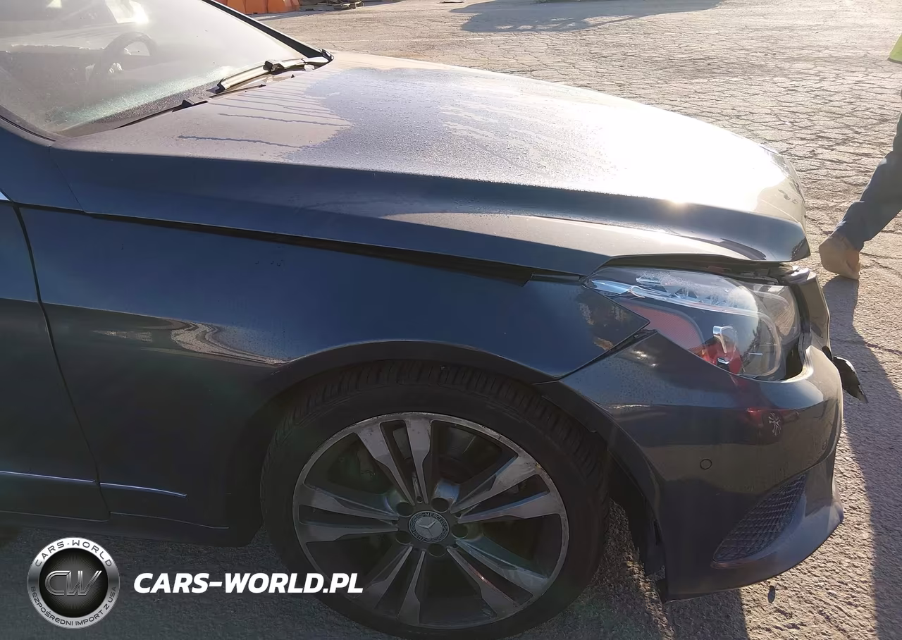2015 Mercedes-Benz E 400 VIN:WDDKK6FF8FF306568 - 13