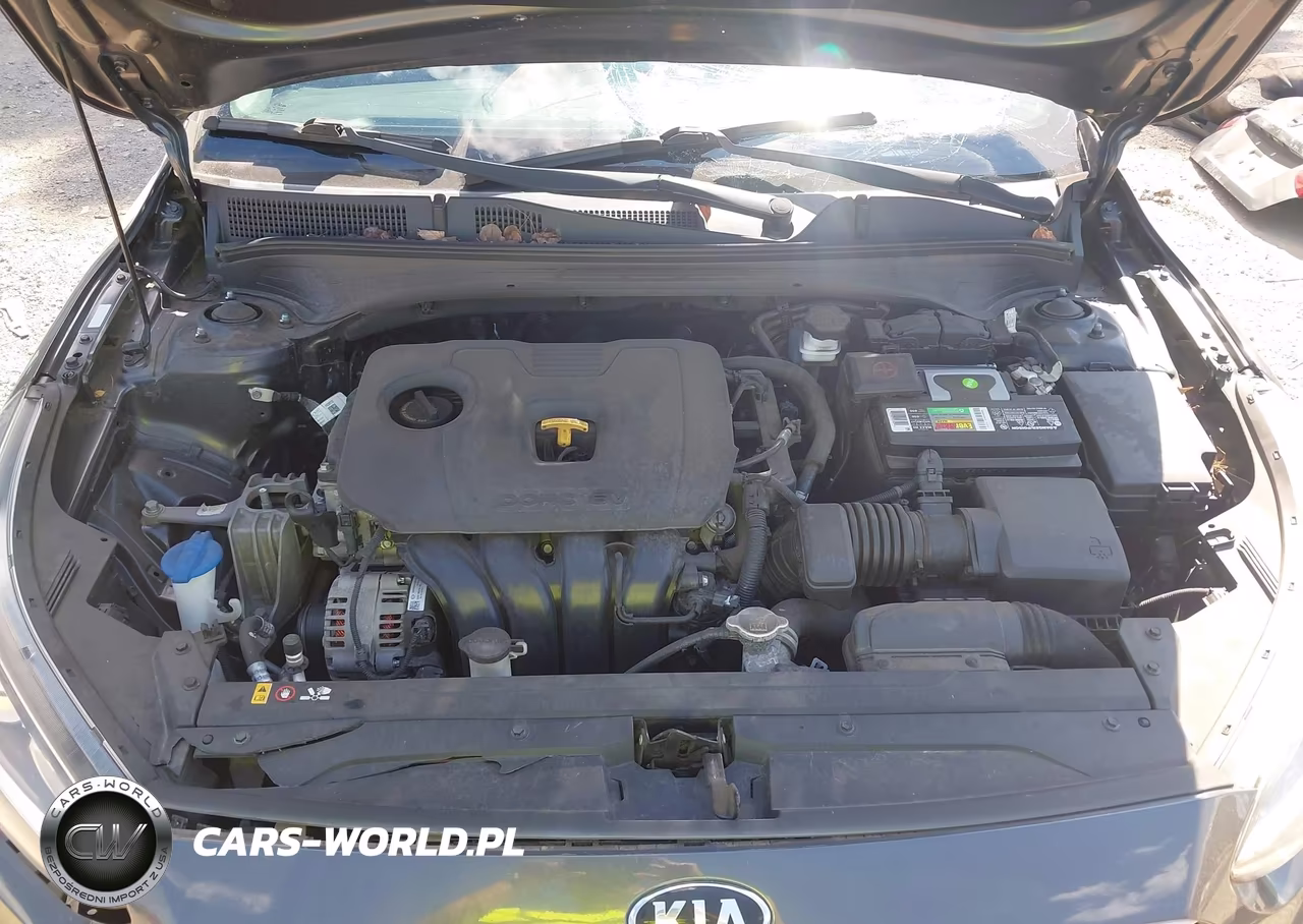 2019 Kia Forte Fe VIN:3KPF24AD8KE010055 - 10