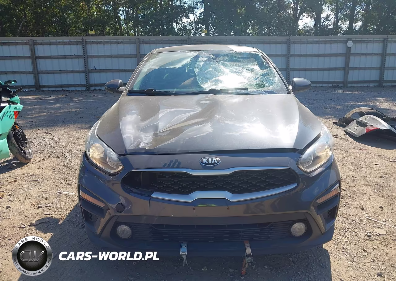 2019 Kia Forte Fe VIN:3KPF24AD8KE010055 - 12