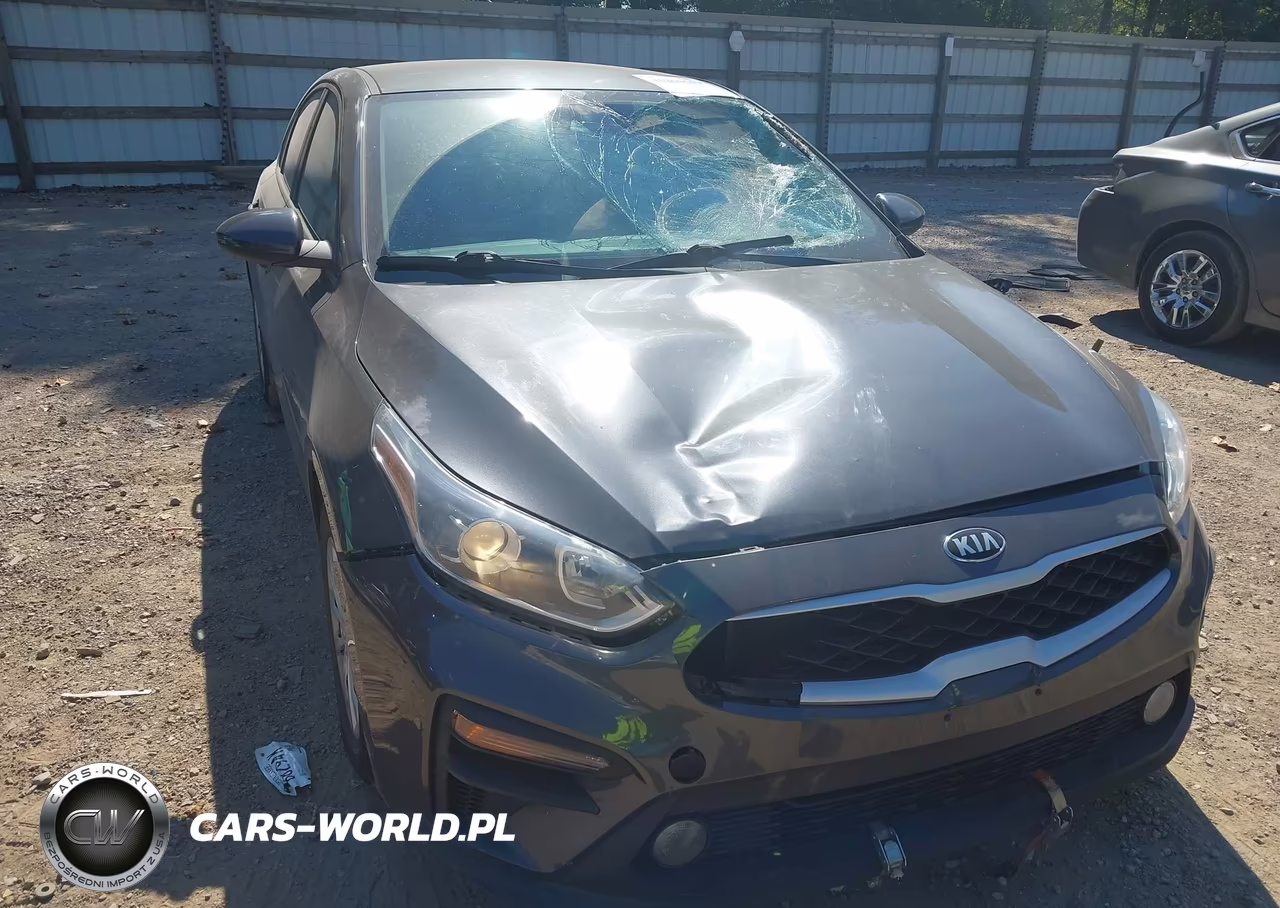 2019 Kia Forte Fe VIN:3KPF24AD8KE010055 - 6