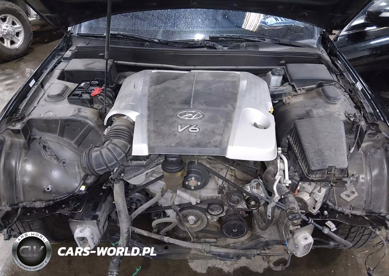 2009 Hyundai Genesis 3.8 VIN:KMHGC46E19U035289 - 10