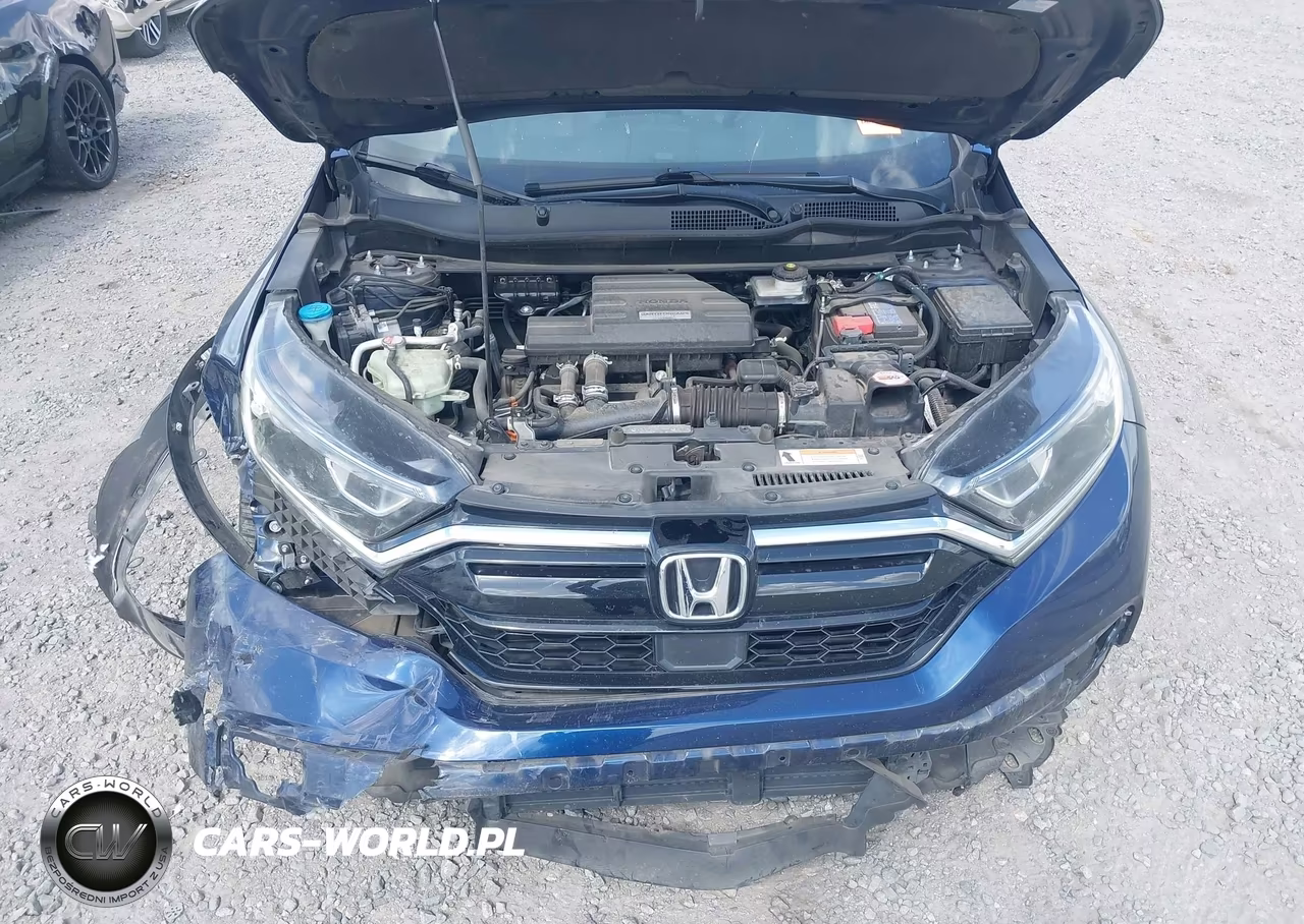 2020 Honda Cr-V 2Wd Ex-L VIN:7FARW1H87LE012856 - 10