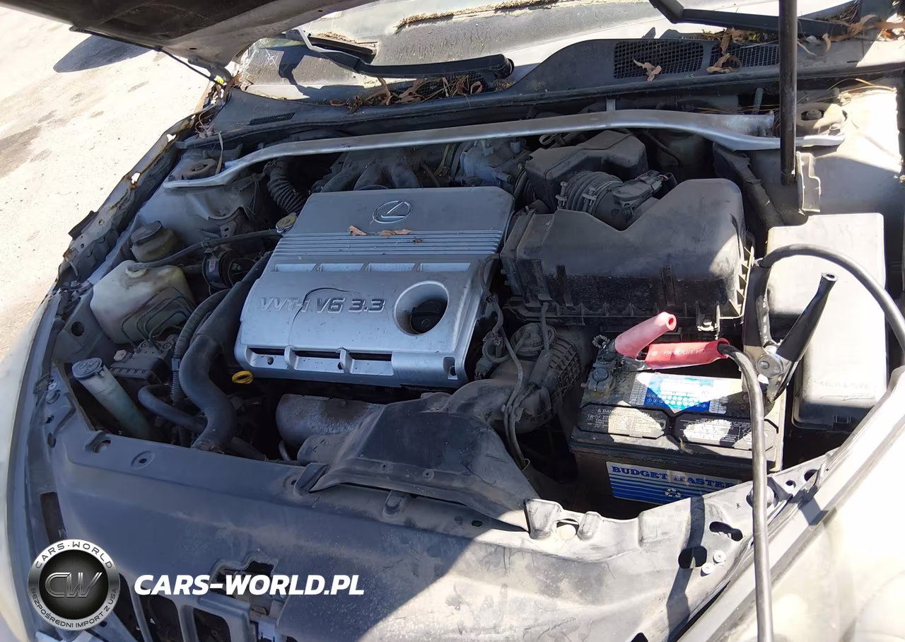 2006 Lexus Es 330 VIN:JTHBA30G365174966 - 10