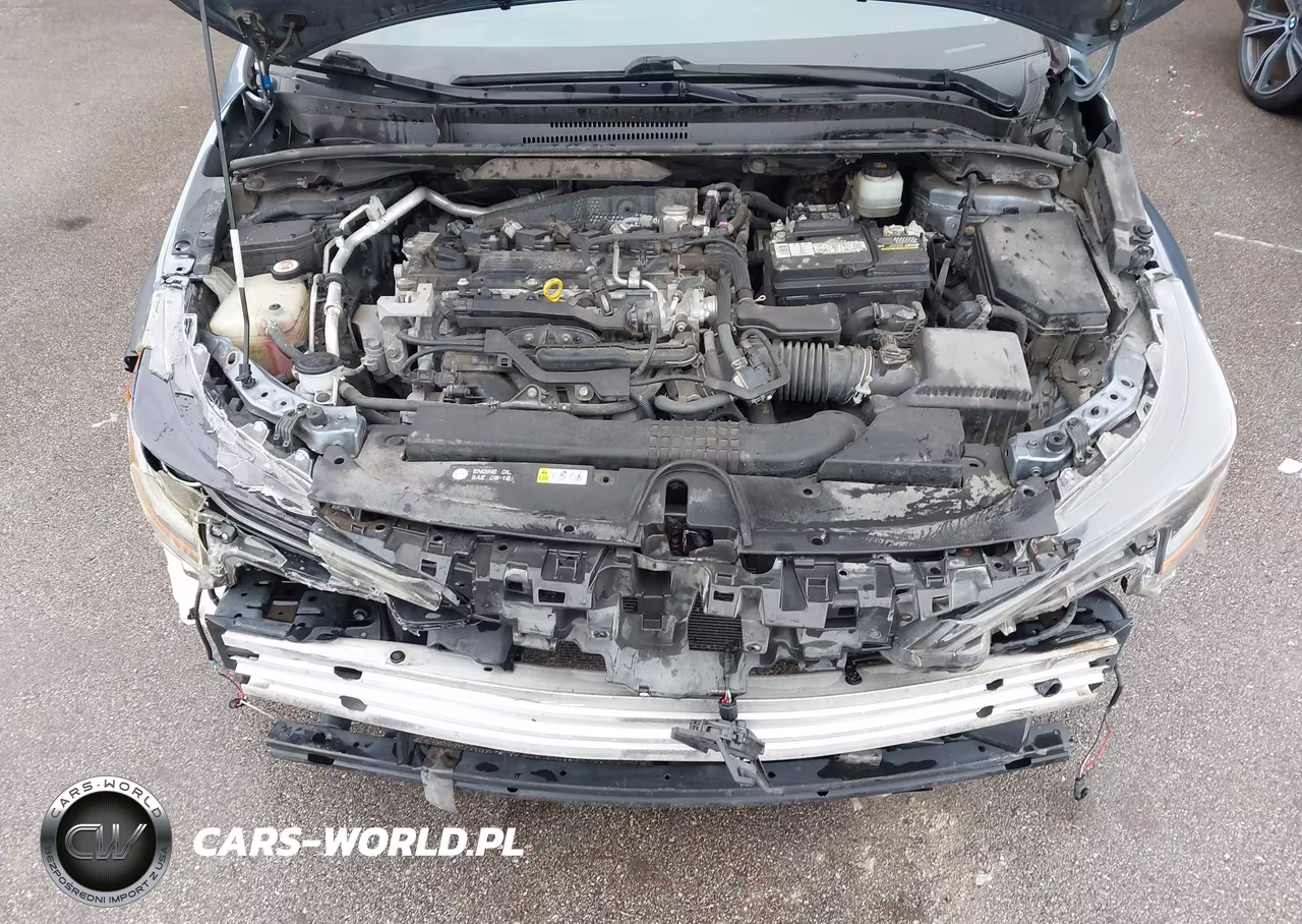 2020 Toyota Corolla Se VIN:JTDP4RCE4LJ010267 - 10
