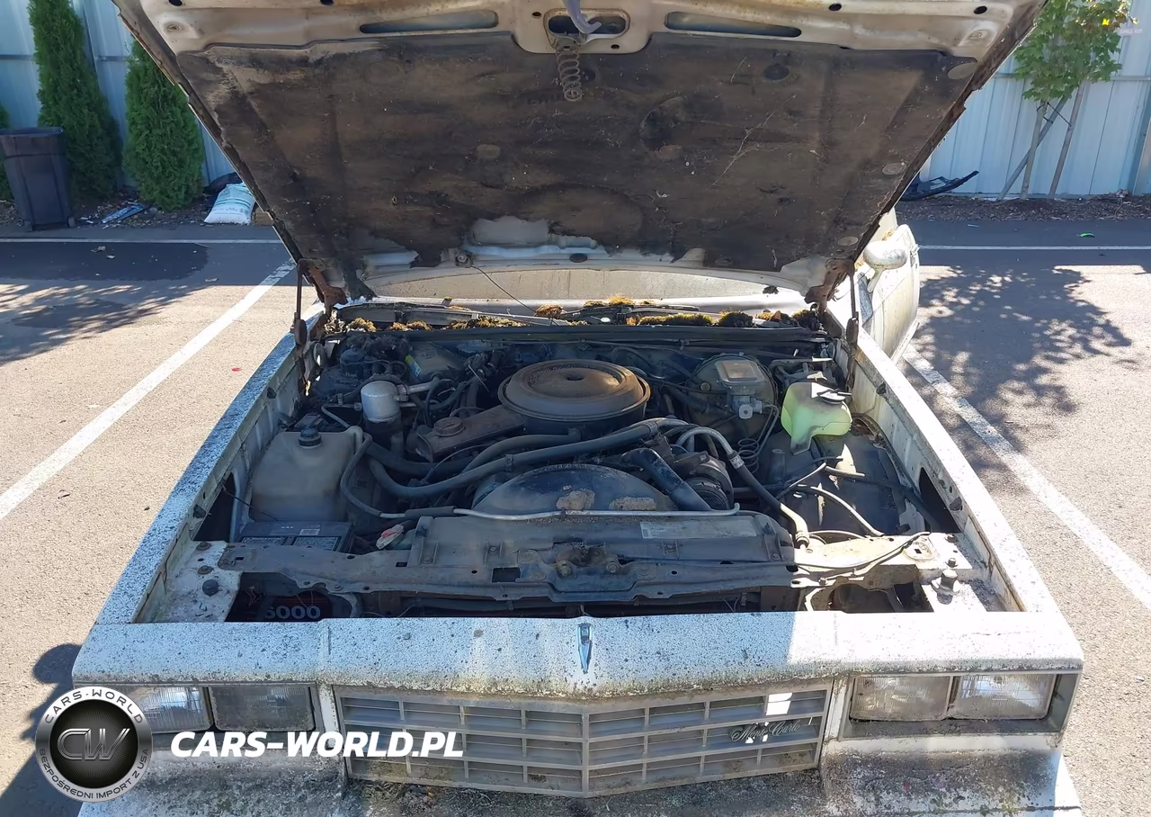 1984 Chevrolet Monte Carlo VIN:1G1AZ37H4ER159204 - 10