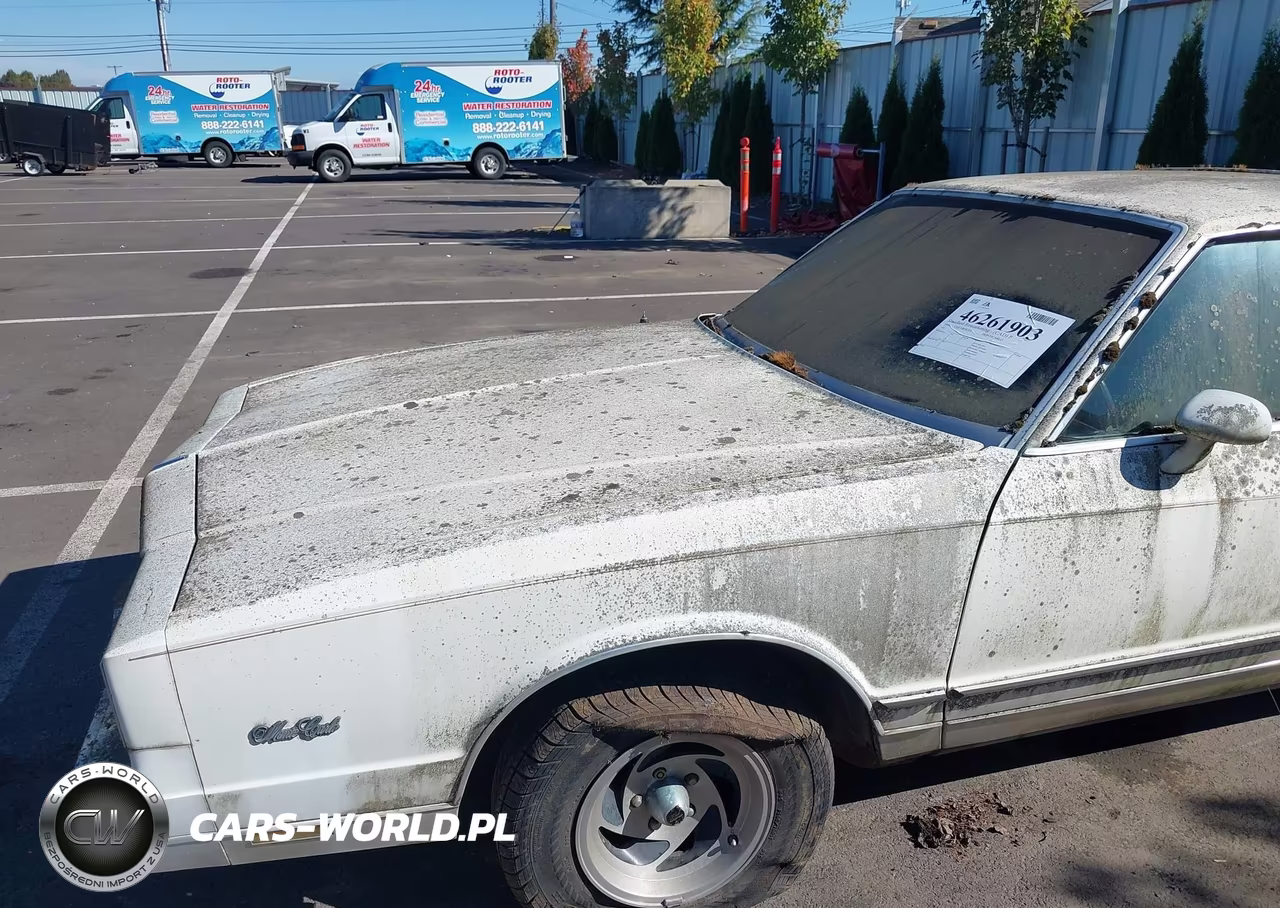 1984 Chevrolet Monte Carlo VIN:1G1AZ37H4ER159204 - 6