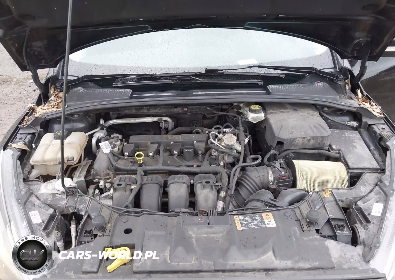 2017 Ford Focus Sel VIN:1FADP3H24HL270305 - 10