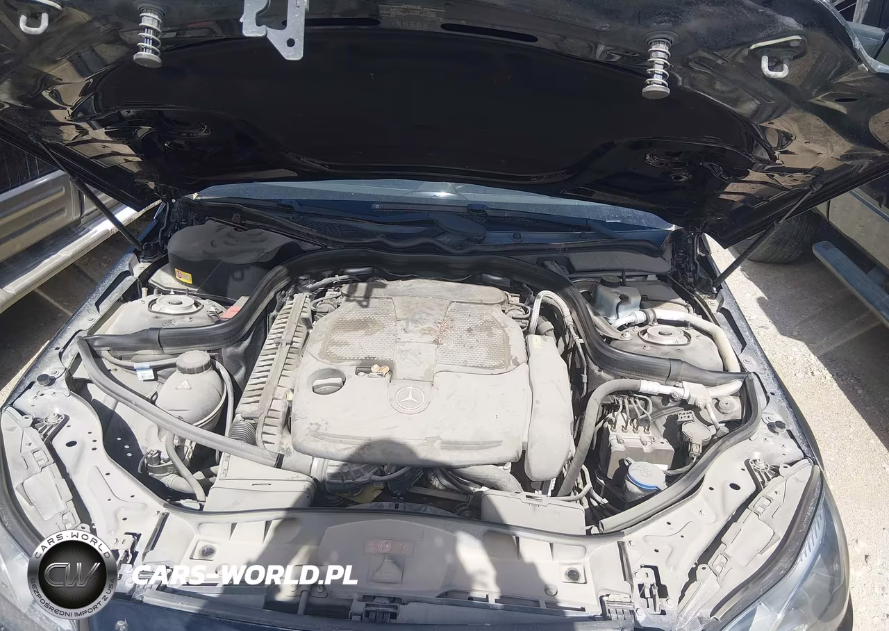 2016 Mercedes-Benz E 350 VIN:WDDHF5KBXGB196806 - 10