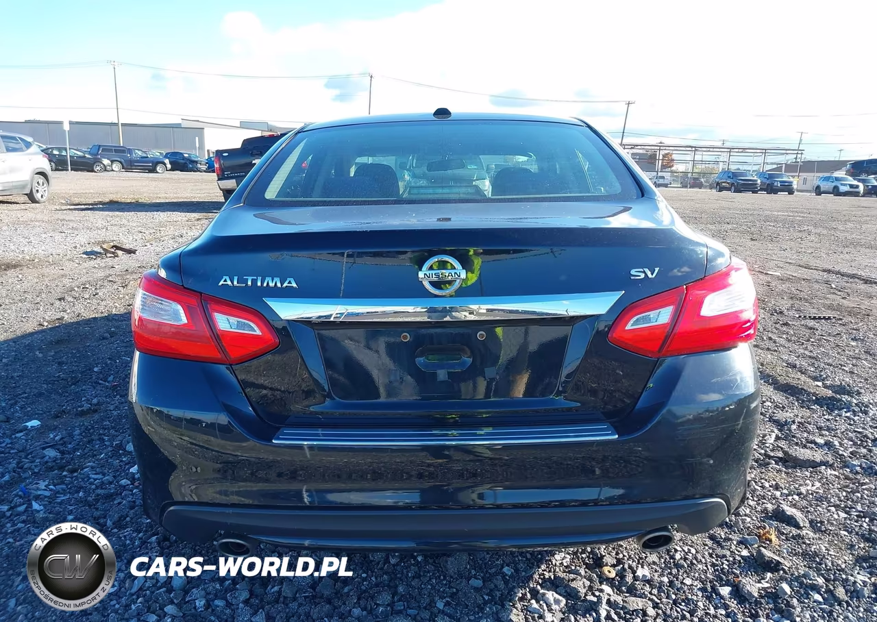 2016 Nissan Altima 2.5 Sv VIN:1N4AL3AP5GC199991 - 17