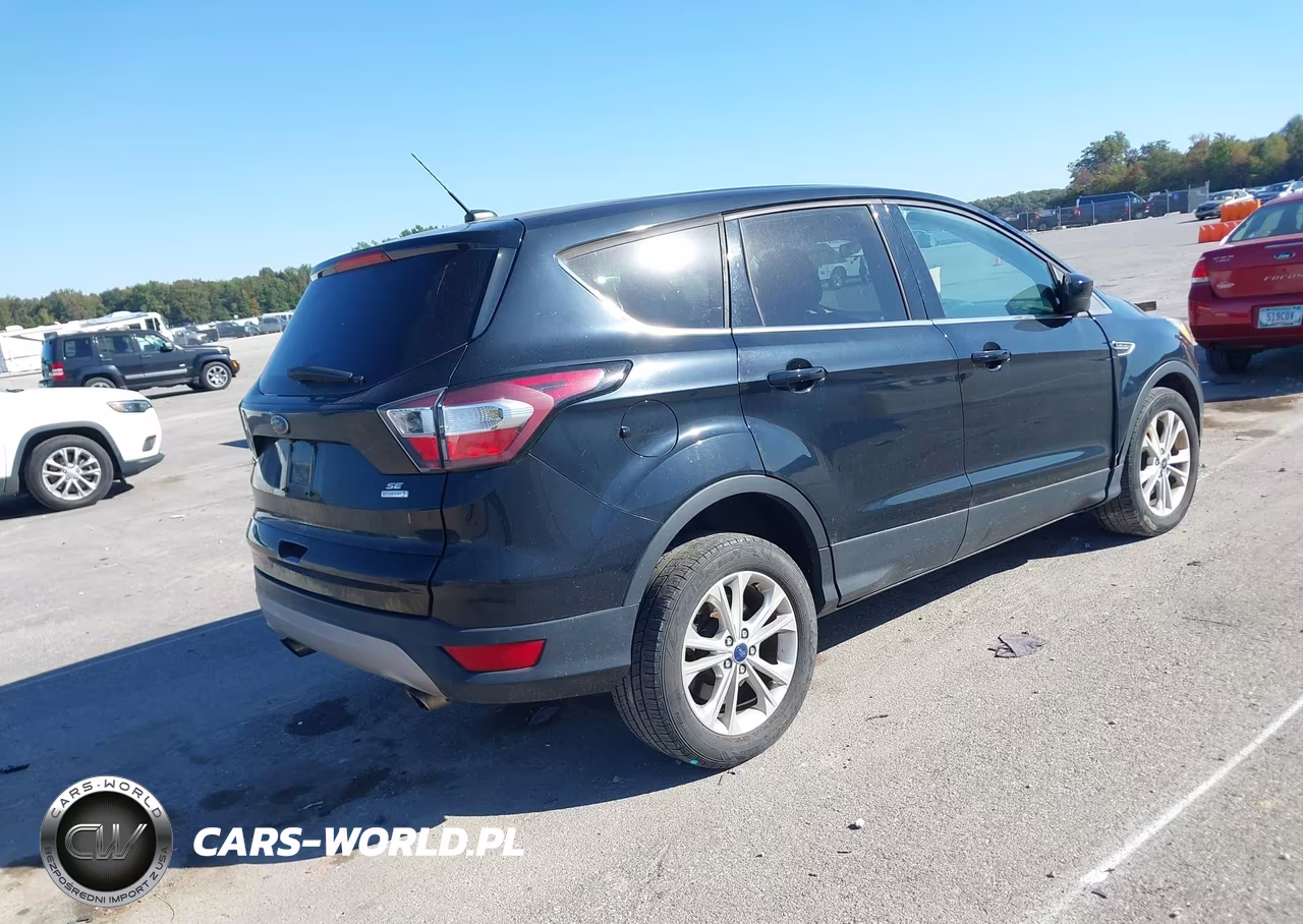 2017 Ford Escape Se VIN:1FMCU0GD1HUB20965 - 4