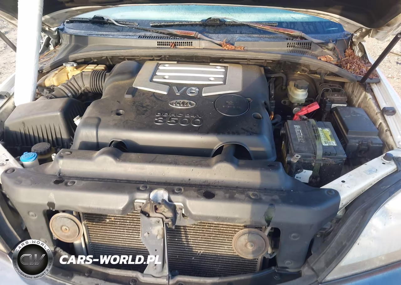 2004 Kia Sorento Ex-Lx VIN:KNDJC733145267005 - 10