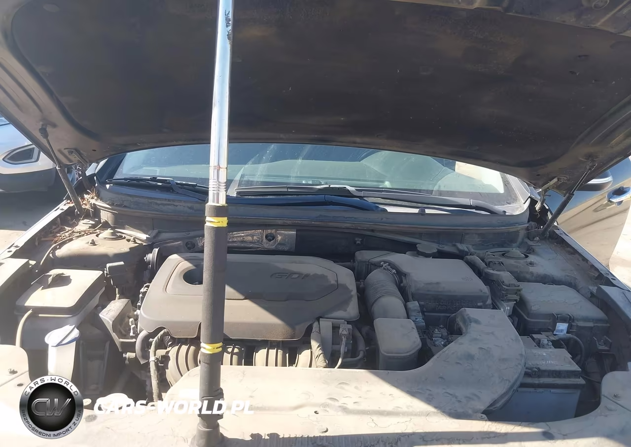 2016 Hyundai Sonata Sport VIN:5NPE34AF6GH379767 - 10