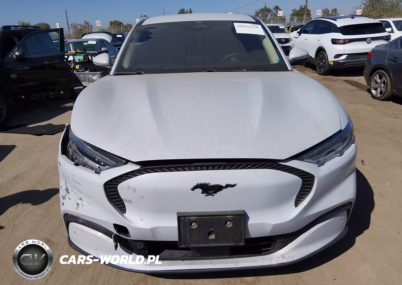 2022 Ford Mustang Mach-E Select VIN:3FMTK1RM9NMA39754 - 12