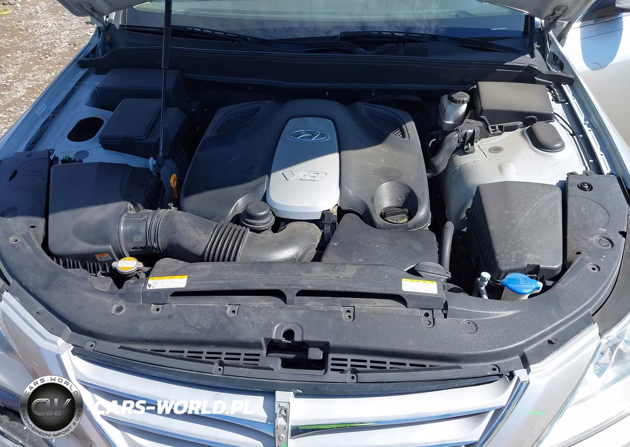 2010 Hyundai Genesis 4.6 VIN:KMHGC4DF3AU098250 - 10