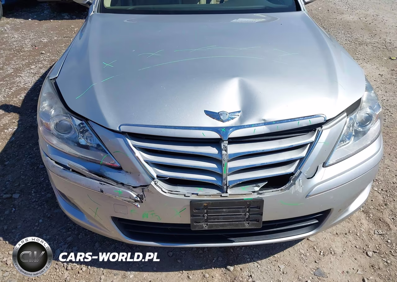 2010 Hyundai Genesis 4.6 VIN:KMHGC4DF3AU098250 - 6