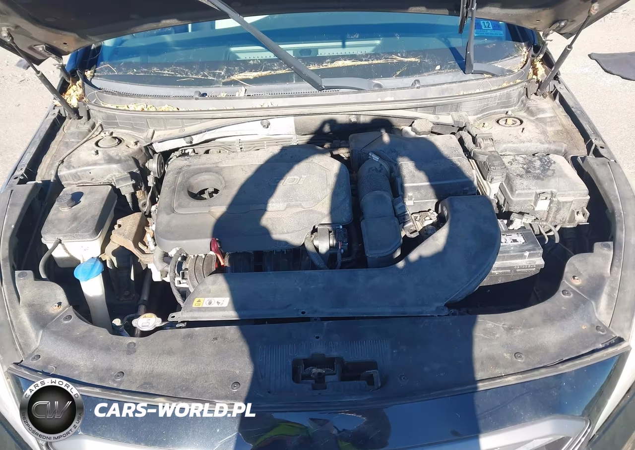 2016 Hyundai Sonata Sport VIN:5NPE34AF2GH275468 - 10