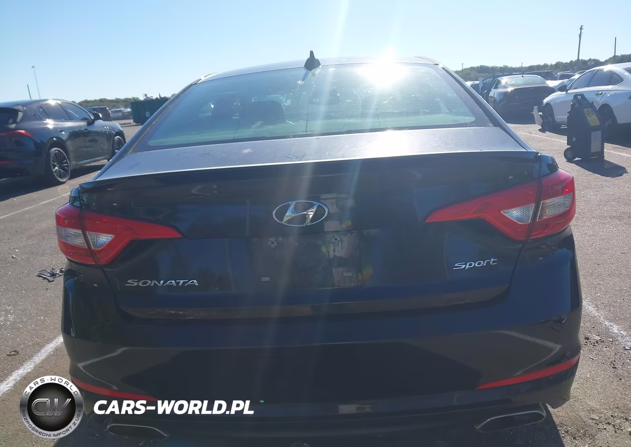 2016 Hyundai Sonata Sport VIN:5NPE34AF2GH275468 - 16