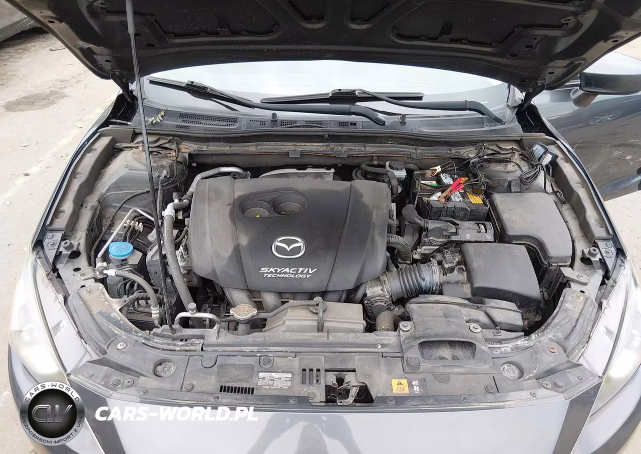 2015 Mazda Mazda3 I Sport VIN:JM1BM1K76F1271905 - 10