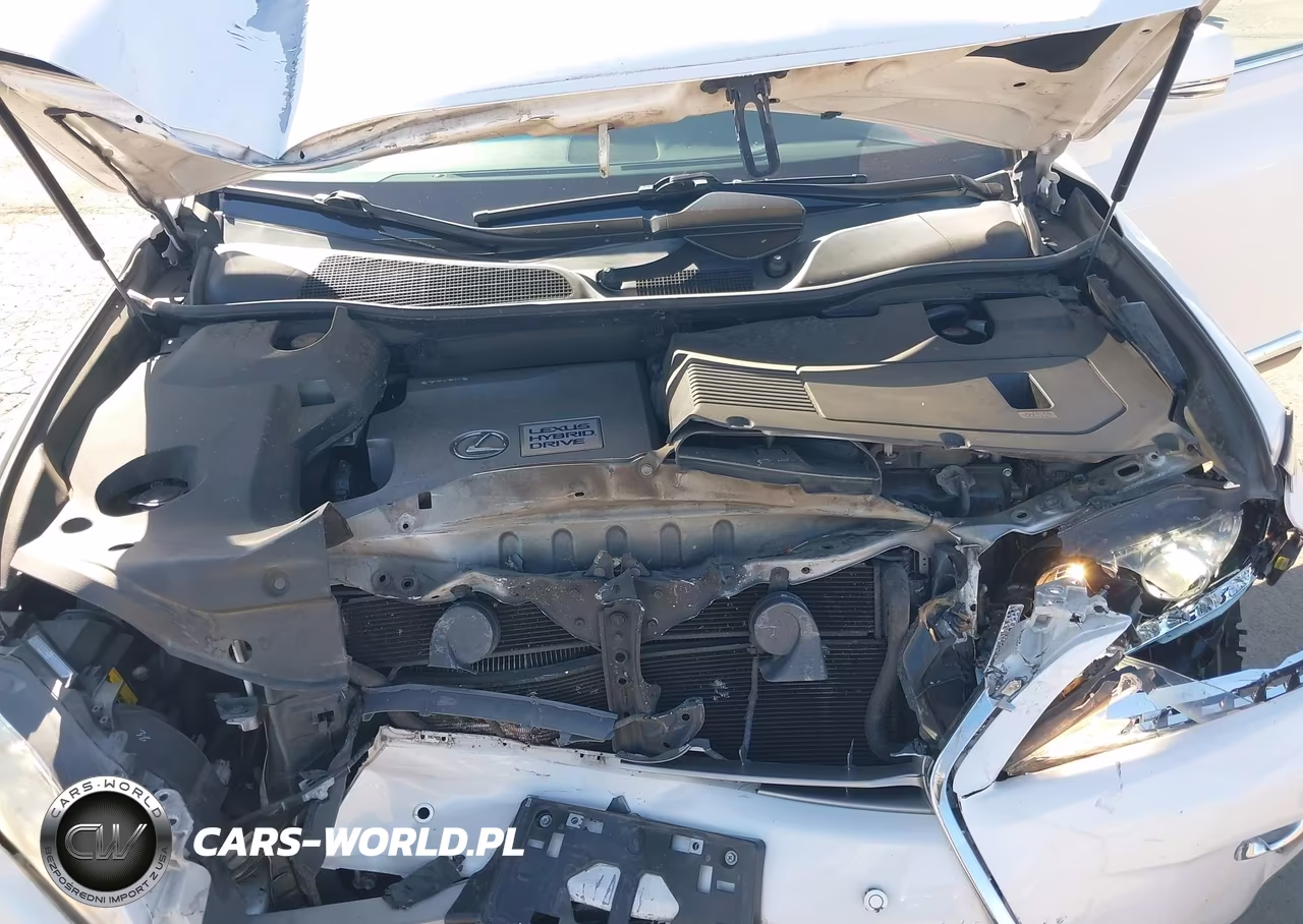 2015 Lexus Rx 450H VIN:2T2BC1BA4FC004932 - 10