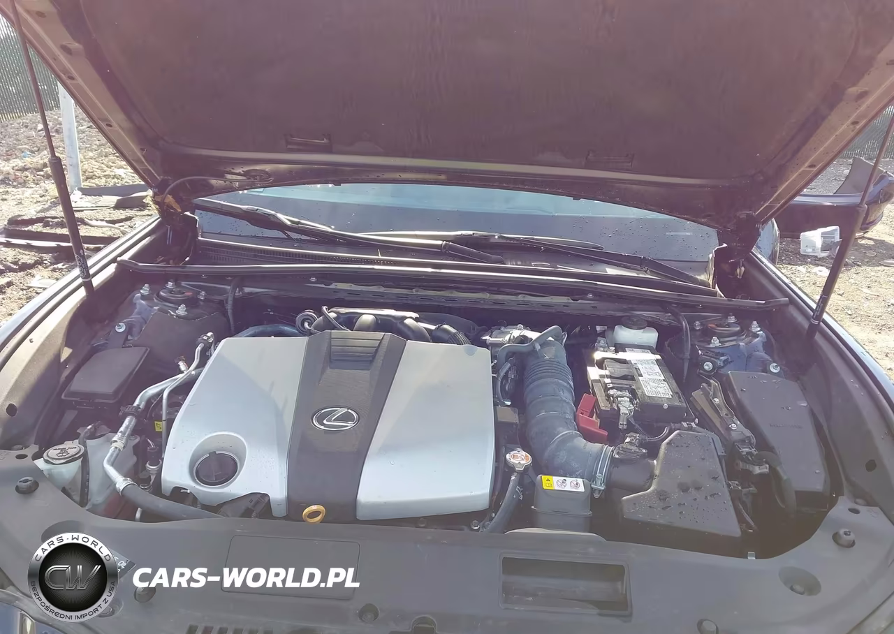 2024 Lexus Es 350 Ultra Luxury VIN:58AFZ1B11RU184869 - 10