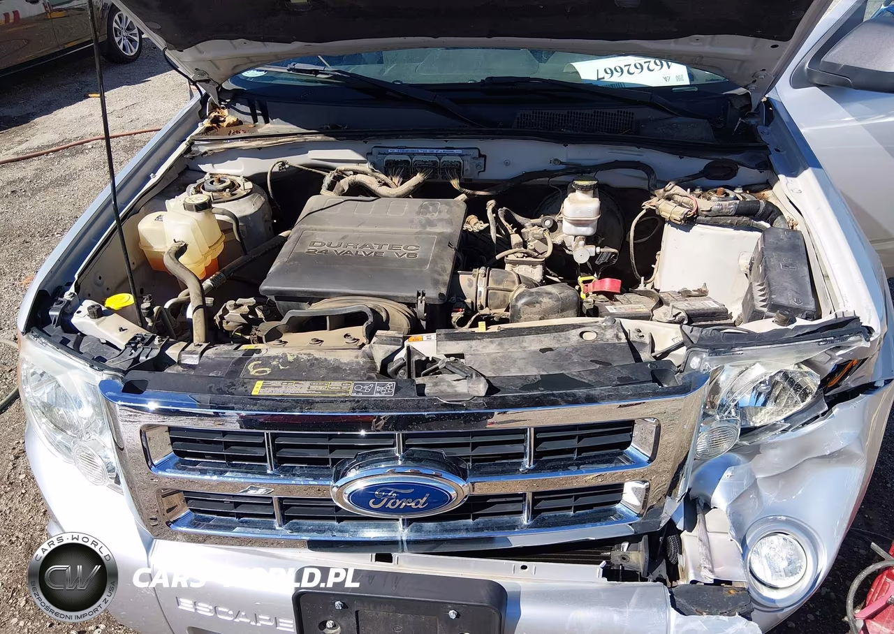 2012 Ford Escape Xlt VIN:1FMCU0DG1CKA49849 - 10