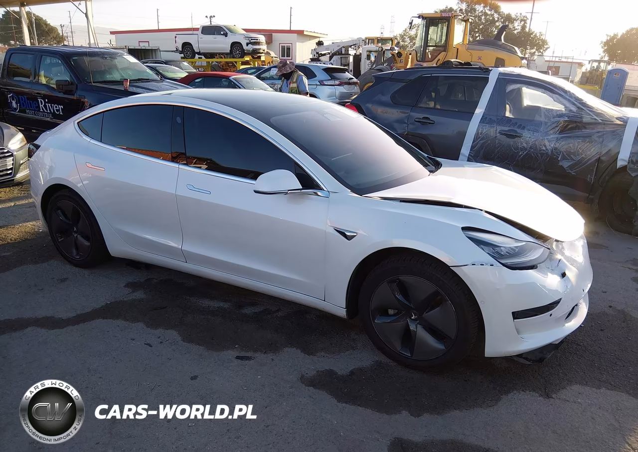 2020 Tesla Model 3 Standard Range Plus Rear-Wheel Drive-Standard Range Rear-Wheel Drive
