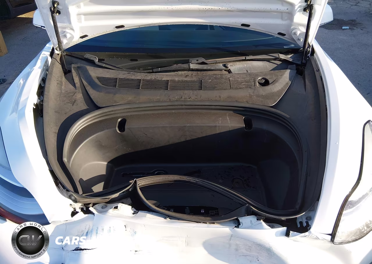 2020 Tesla Model 3 Standard Range Plus Rear-Wheel Drive-Standard Range Rear-Wheel Drive VIN:5YJ3E1EA5LF717828 - 10