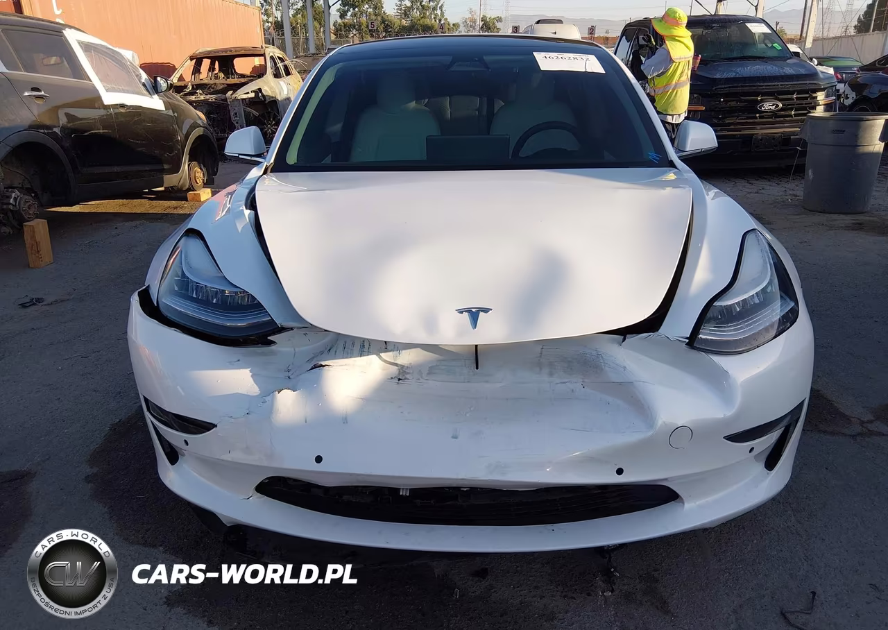 2020 Tesla Model 3 Standard Range Plus Rear-Wheel Drive-Standard Range Rear-Wheel Drive VIN:5YJ3E1EA5LF717828 - 12