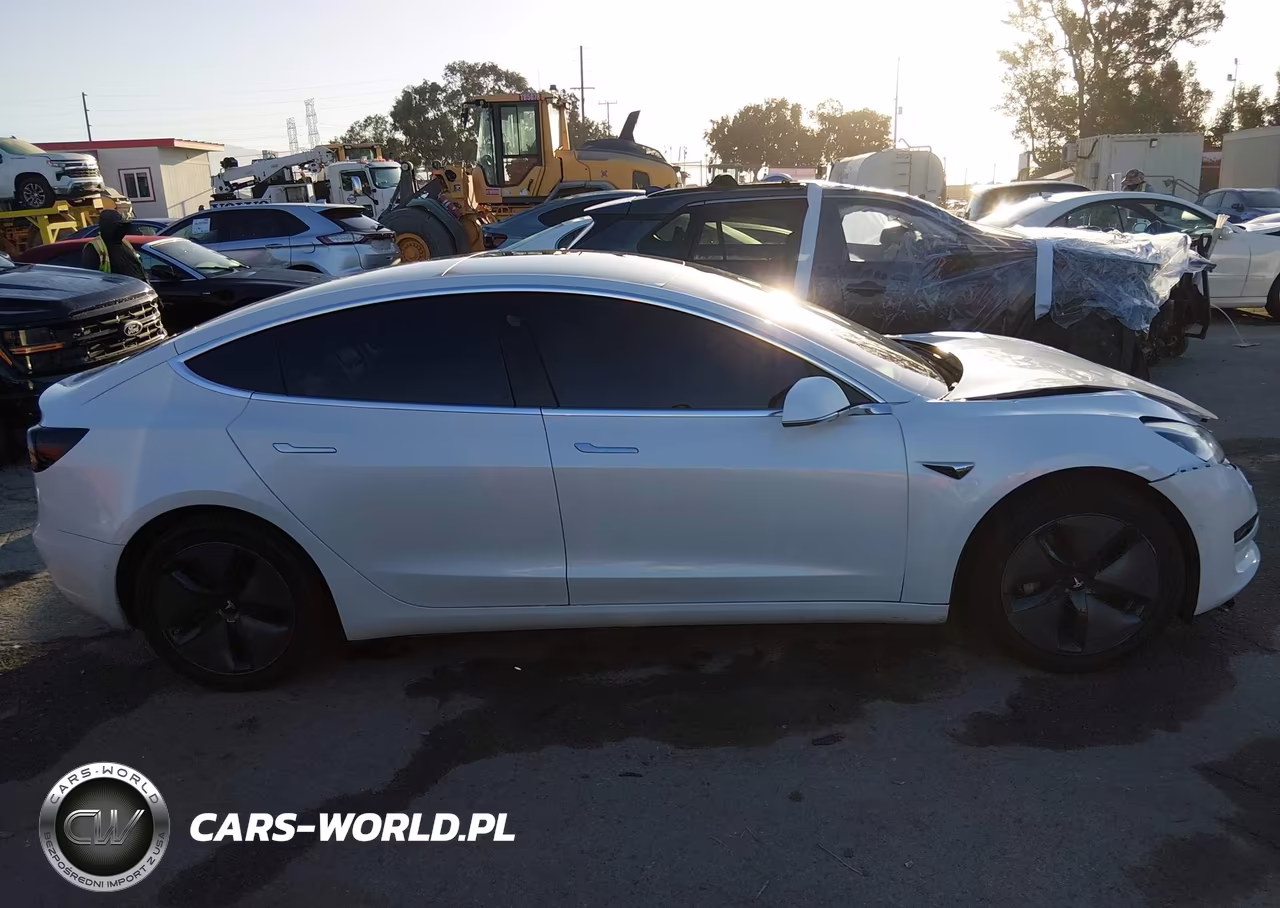 2020 Tesla Model 3 Standard Range Plus Rear-Wheel Drive-Standard Range Rear-Wheel Drive VIN:5YJ3E1EA5LF717828 - 13