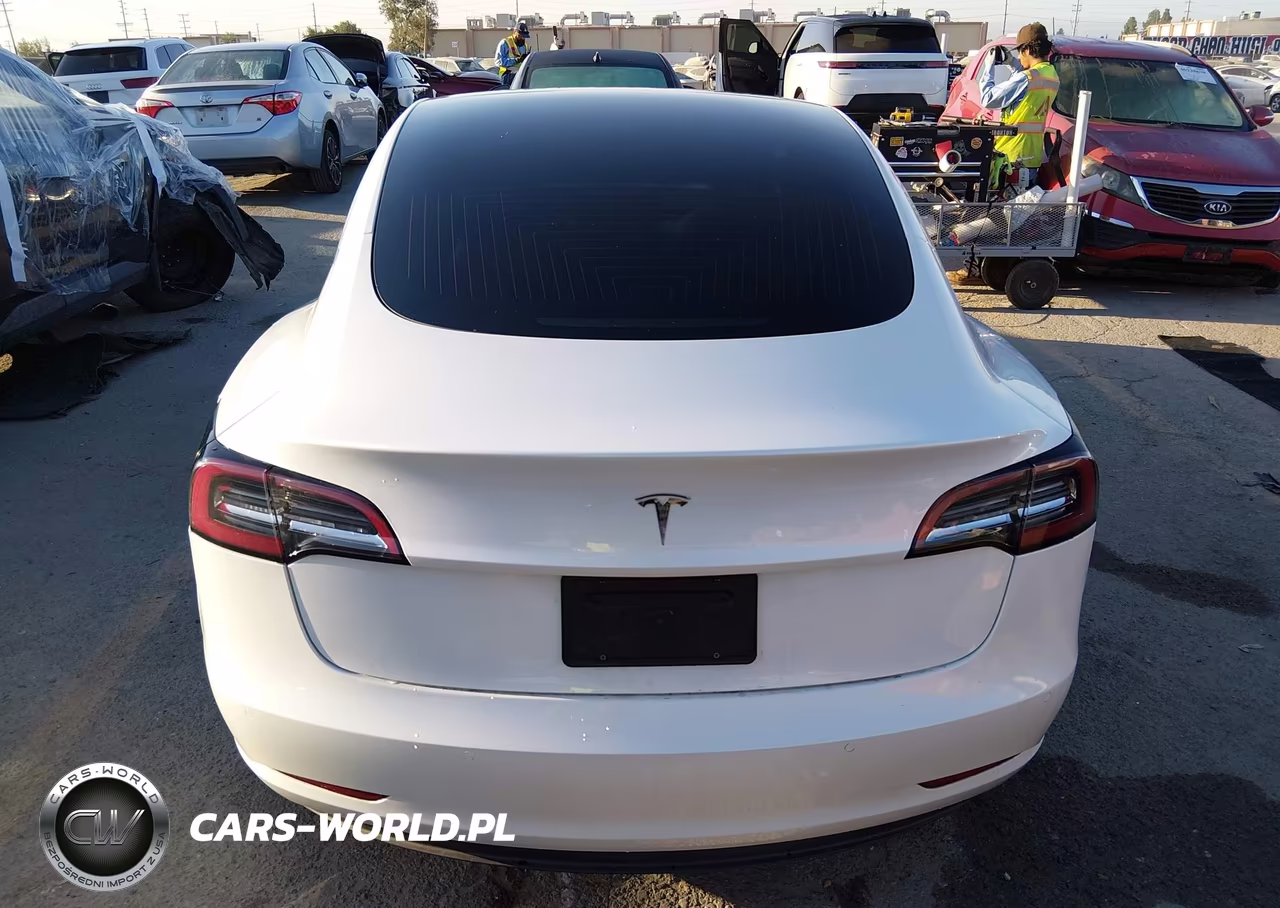 2020 Tesla Model 3 Standard Range Plus Rear-Wheel Drive-Standard Range Rear-Wheel Drive VIN:5YJ3E1EA5LF717828 - 16