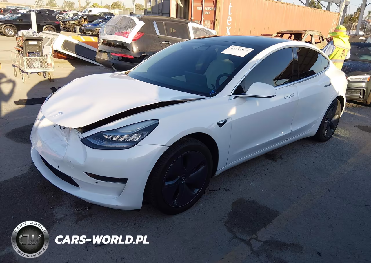 2020 Tesla Model 3 Standard Range Plus Rear-Wheel Drive-Standard Range Rear-Wheel Drive VIN:5YJ3E1EA5LF717828 - 2