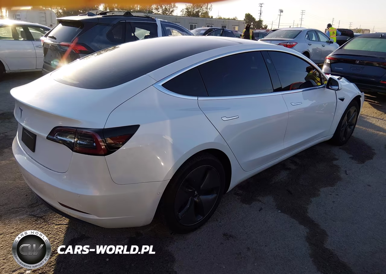 2020 Tesla Model 3 Standard Range Plus Rear-Wheel Drive-Standard Range Rear-Wheel Drive VIN:5YJ3E1EA5LF717828 - 4