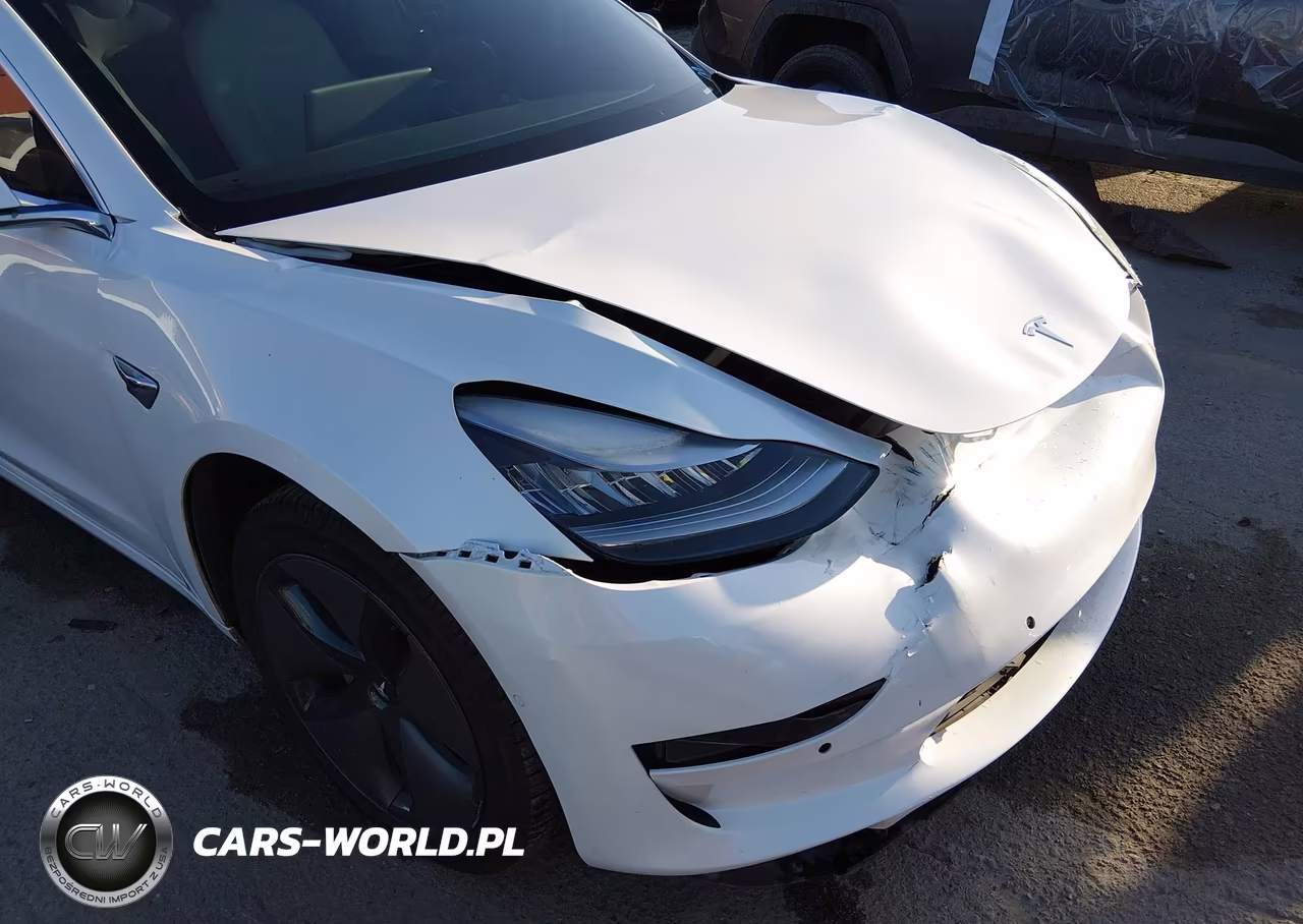 2020 Tesla Model 3 Standard Range Plus Rear-Wheel Drive-Standard Range Rear-Wheel Drive VIN:5YJ3E1EA5LF717828 - 6