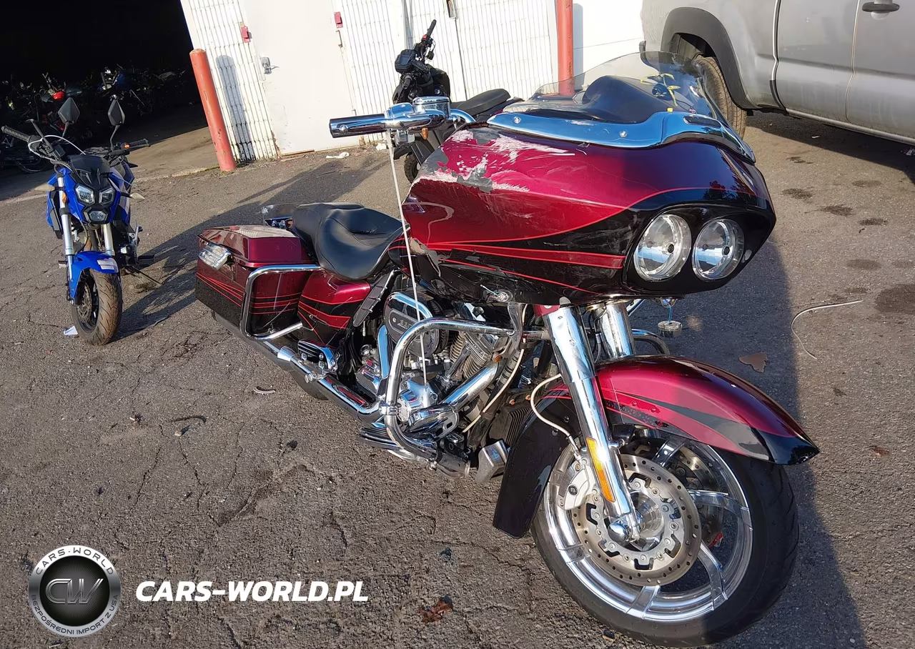 2011 Harley-Davidson Fltruse