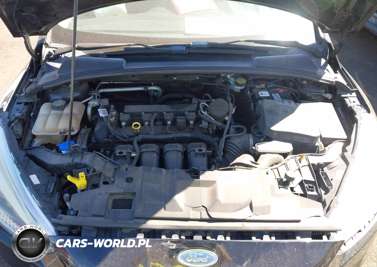 2016 Ford Focus S VIN:1FADP3E25GL225585 - 10