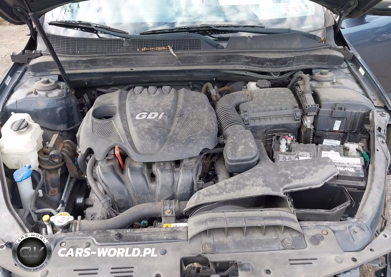 2015 Kia Optima Lx VIN:5XXGM4A79FG477491 - 10