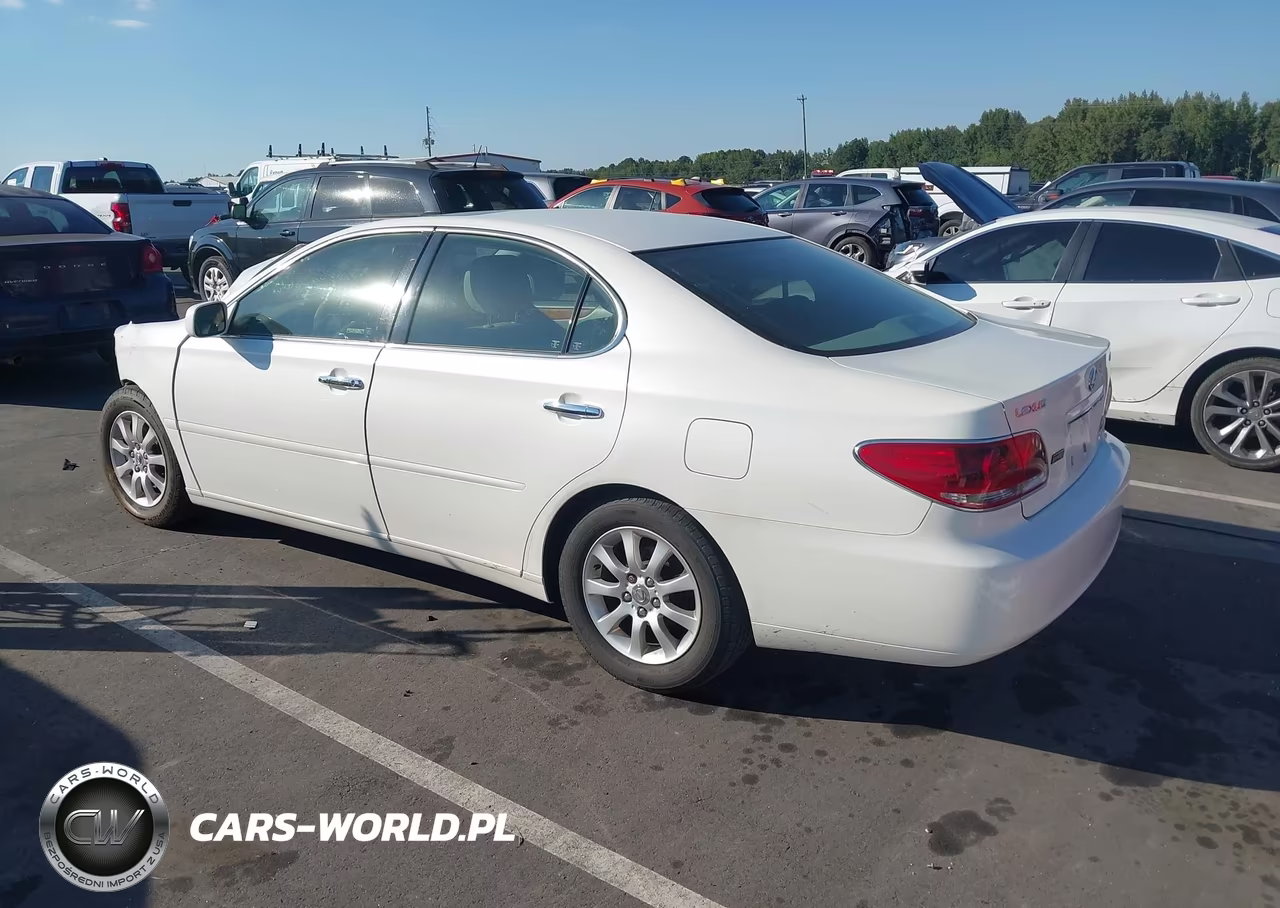 2005 Lexus Es 330 VIN:JTHBA30G255069561 - 3