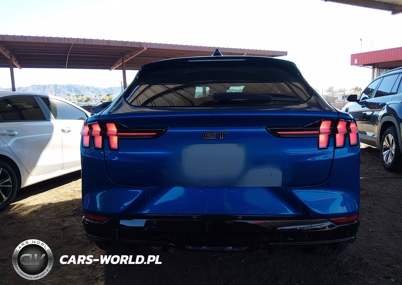 2025 Ford Mustang Mach-E Gt VIN:3FMTK4SX3SMA45468 - 16