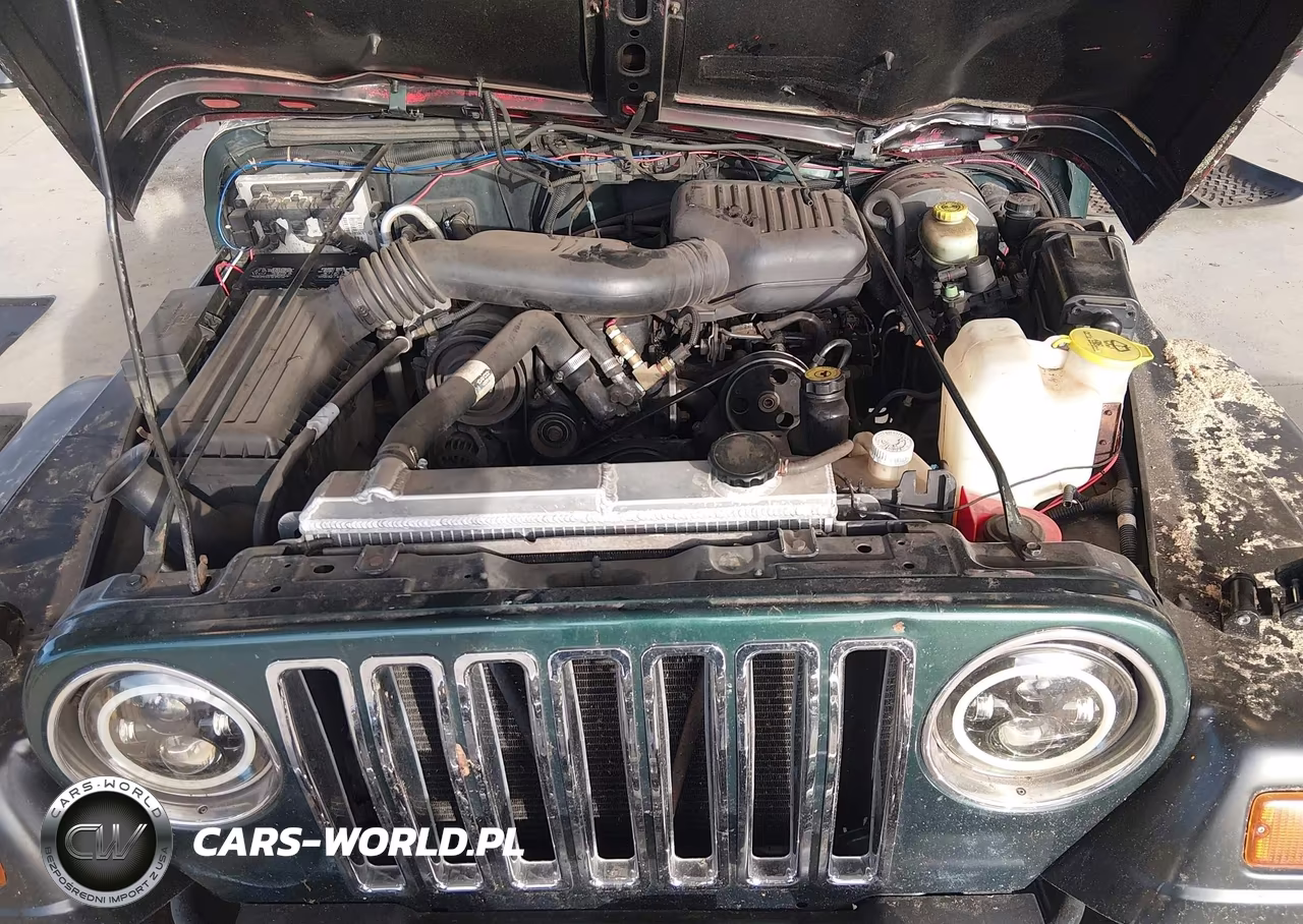 1999 Jeep Wrangler Se VIN:1J4FY29P5XP409976 - 10