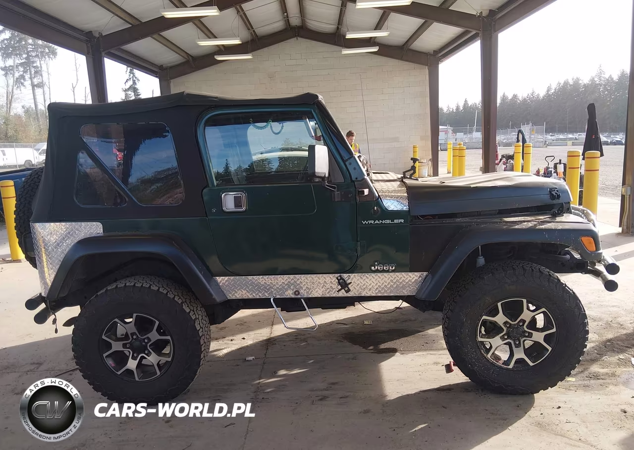 1999 Jeep Wrangler Se VIN:1J4FY29P5XP409976 - 13