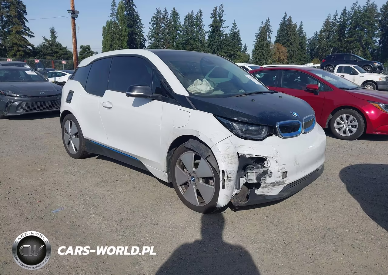 2015 BMW I3 Base W-Range Extender VIN:WBY1Z4C54FV501668 - 1