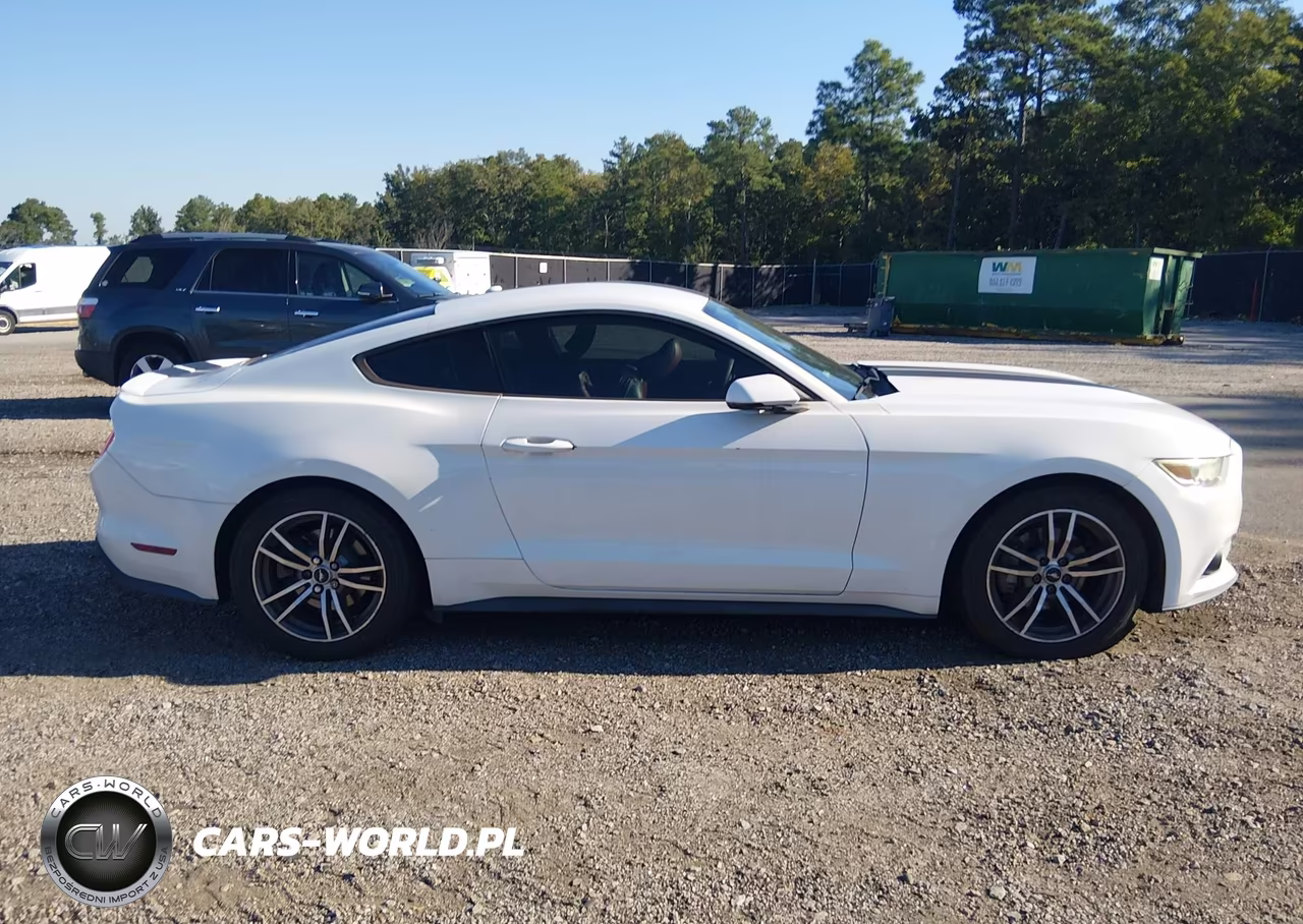 2015 Ford Mustang Ecoboost VIN:1FA6P8TH8F5314115 - 13