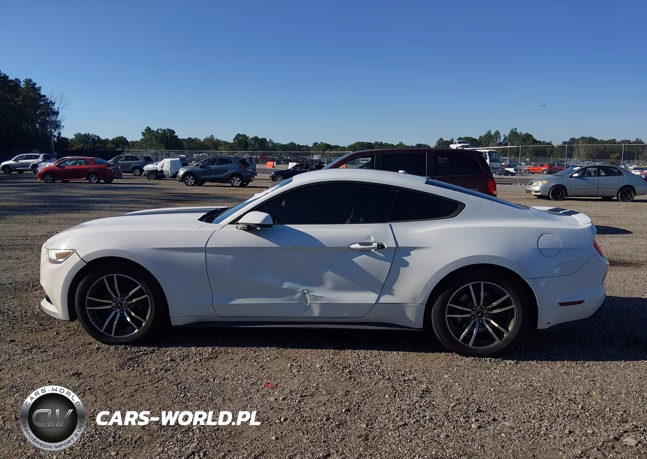 2015 Ford Mustang Ecoboost VIN:1FA6P8TH8F5314115 - 14