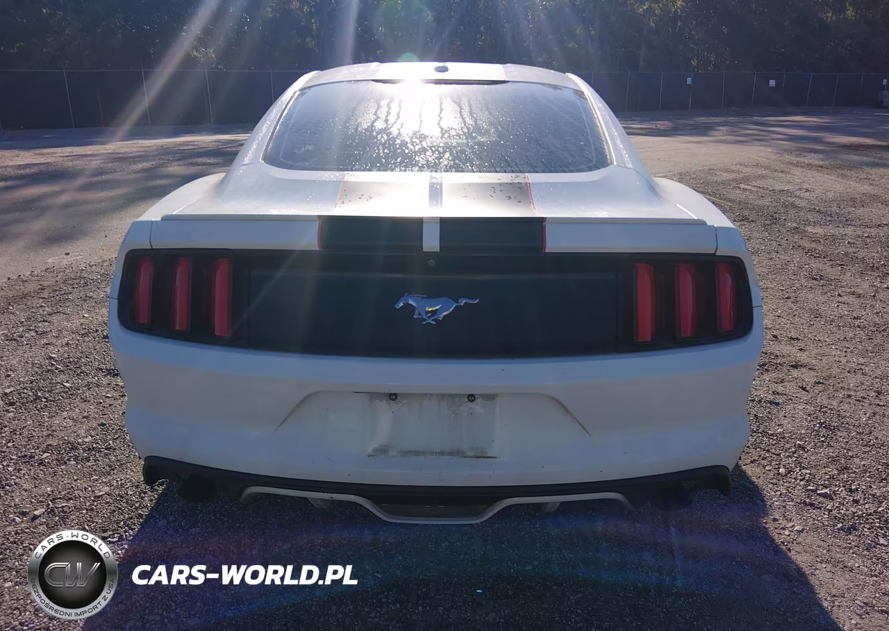 2015 Ford Mustang Ecoboost VIN:1FA6P8TH8F5314115 - 16